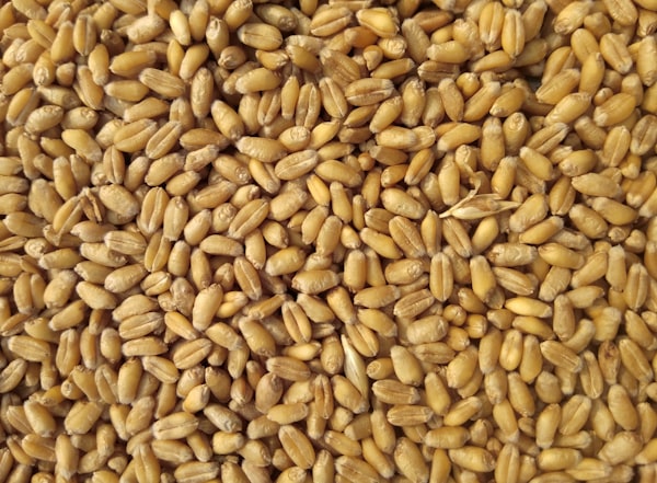 Grain Products